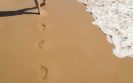 A walk in the sand