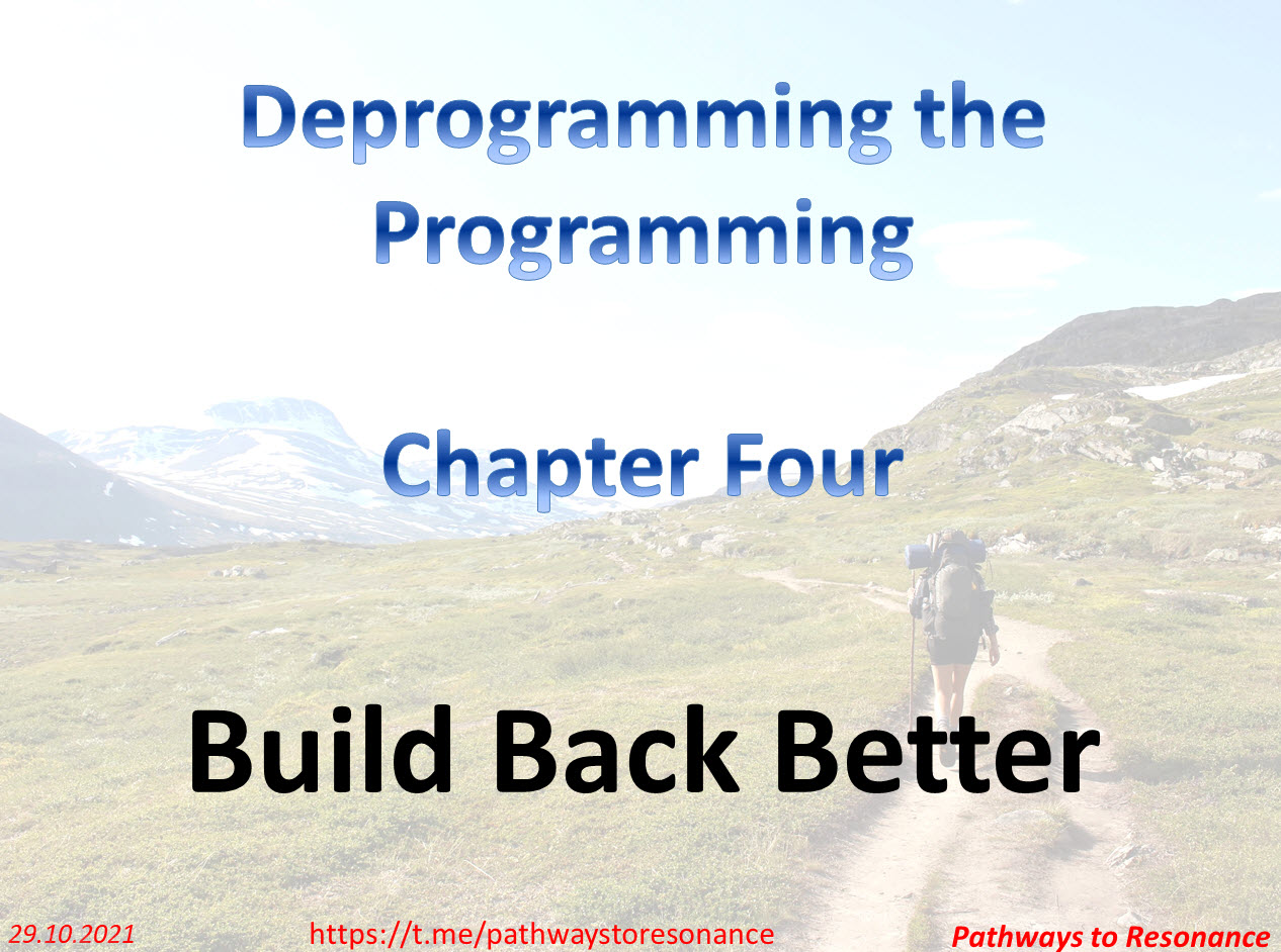 Deprogramming the Programming Chapter Four Build Back Better